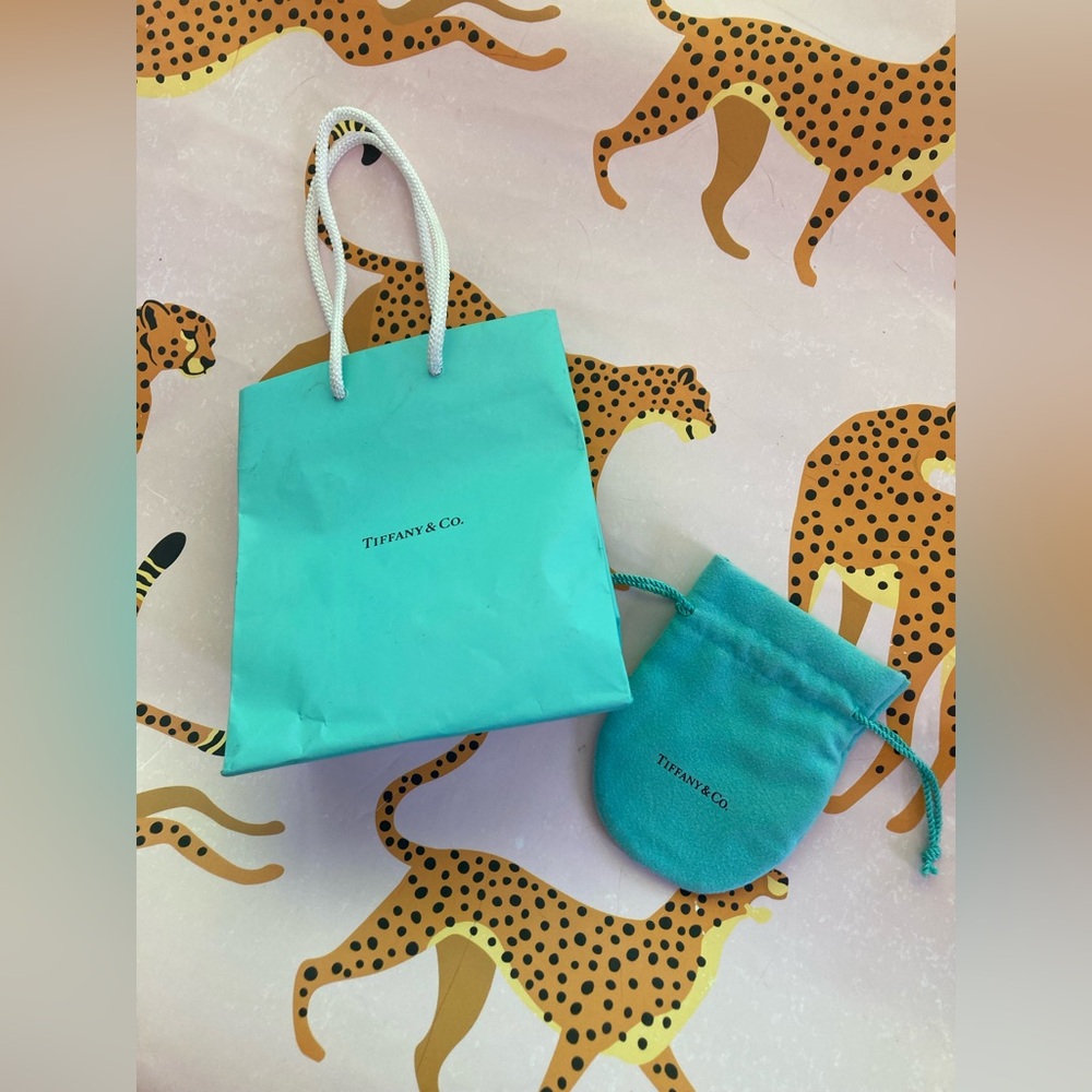 Tiffany & Co. Blue Bags Accessories